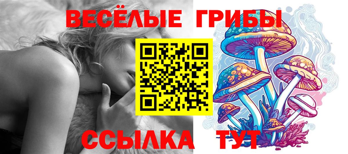 Магнитогорск  Псилоцибиновые грибы ЛСД  Вход с VPN 