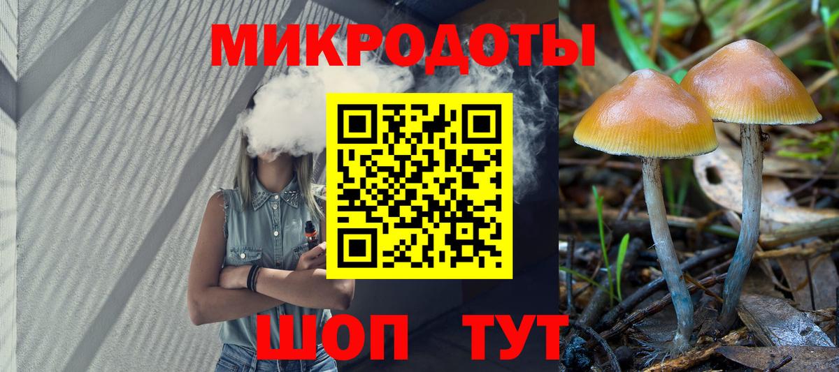 Галлюциногенные грибы прущие грибы Магнитогорск